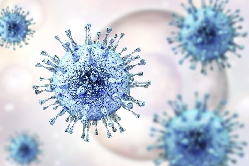 Ancient genomes reveal 2,500-year history of human herpesvirus integration