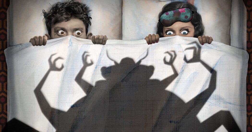 Couple Says They Woke Up Covered in Bites at French Hotel; Management Denies Bedbugs — Static01.nyt.com