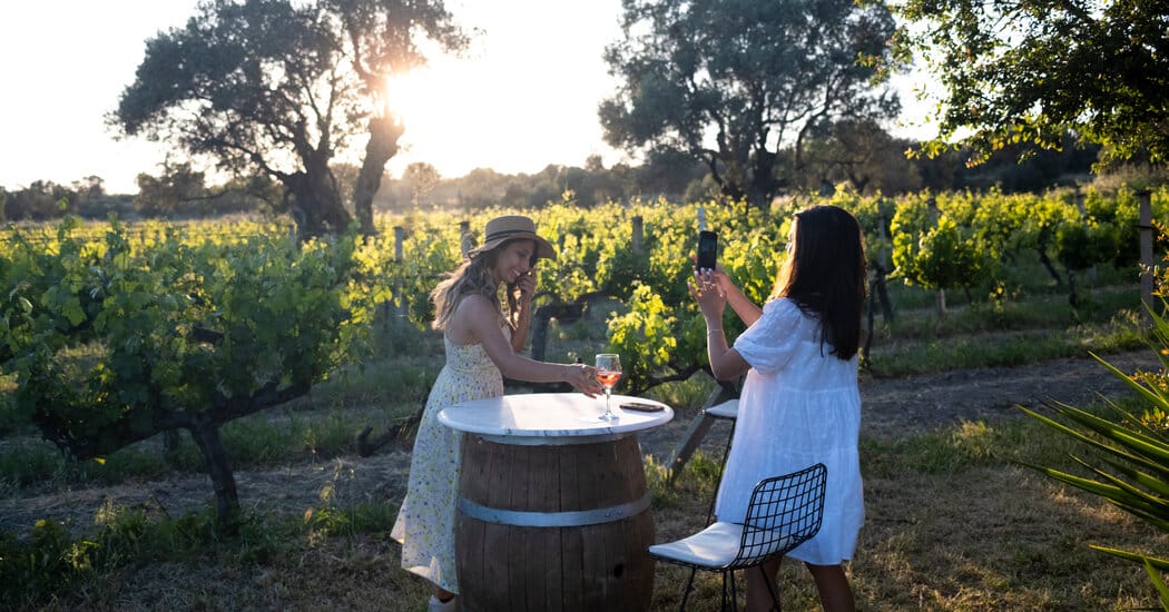 Urla emerges as an Aegean wine region with growing tourism — Static01.nyt.com