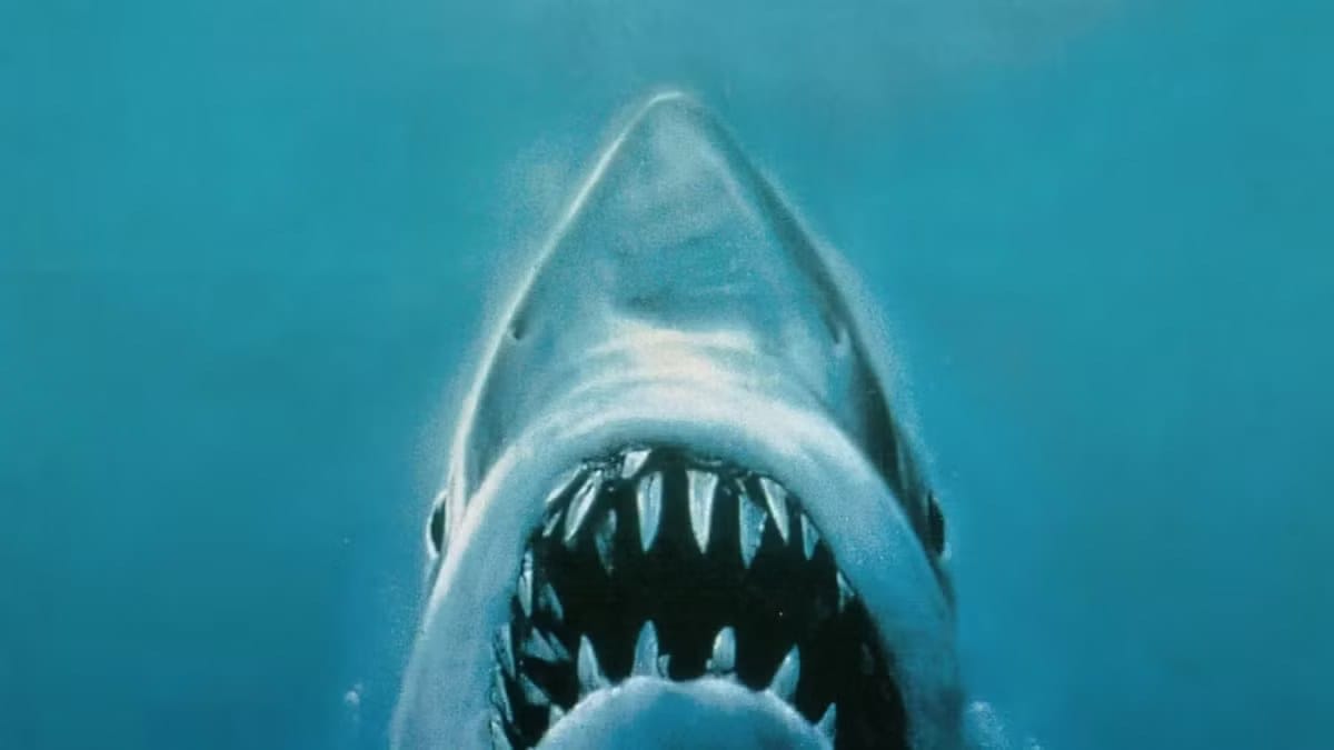 Steven Spielberg's 10 best films adapted from books, ranked — Static0.colliderimages.com
