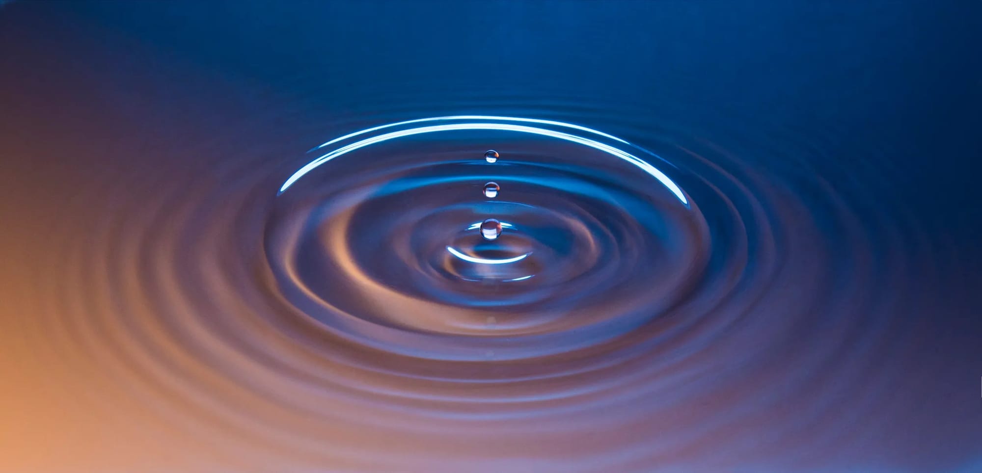 Meditation urged as a response to AI’s rise — Api.time.com