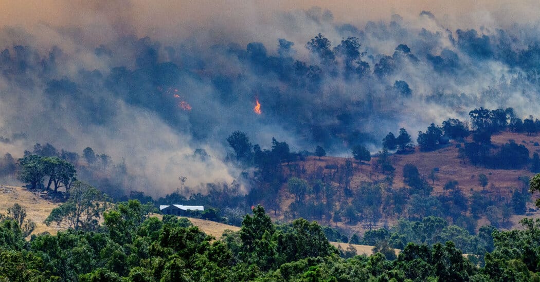 Victoria wildfires kill one and scorch nearly 900,000 acres — Static01.nyt.com