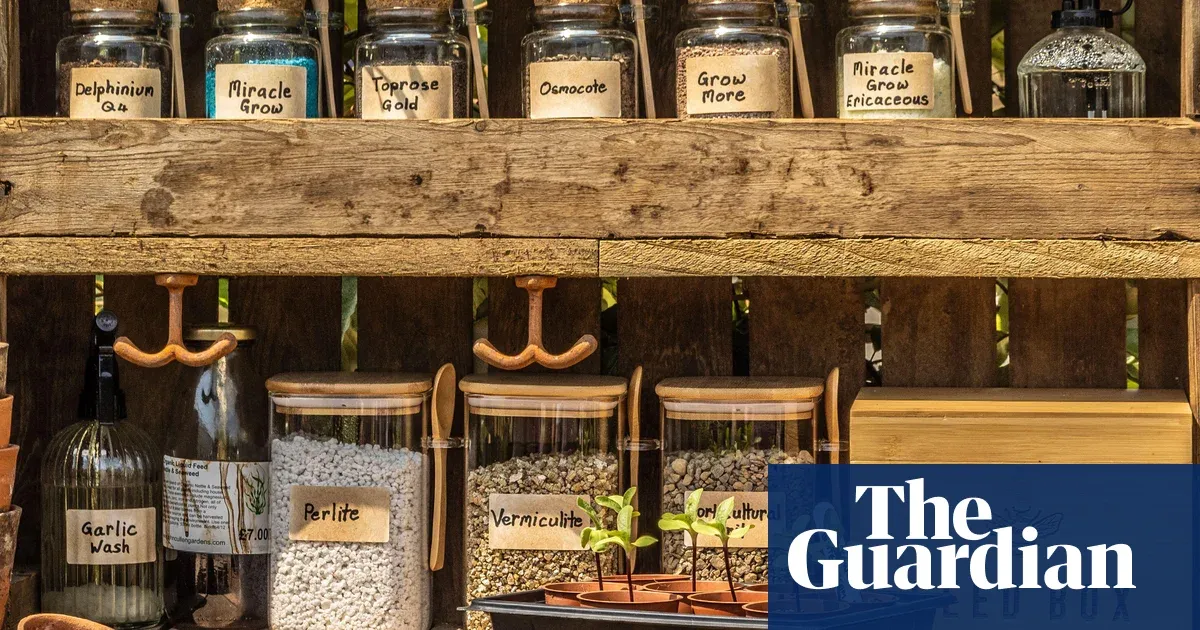 January is a good time to sort garden seeds, inspired by Monty Don — I.guim.co.uk