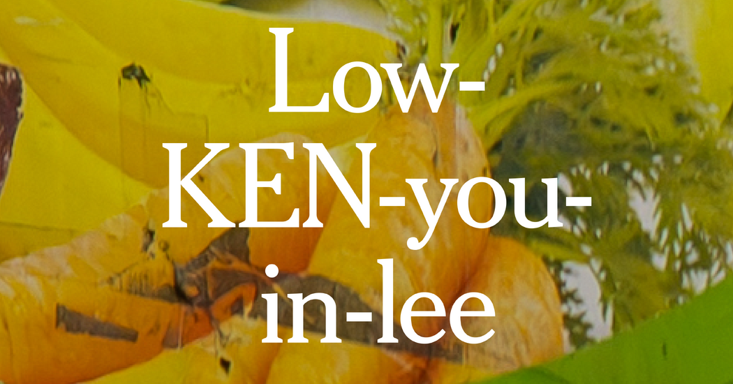 TikTok users fuse low-key and genuinely into the slang ‘lowkenuinely’ — Static01.nyt.com