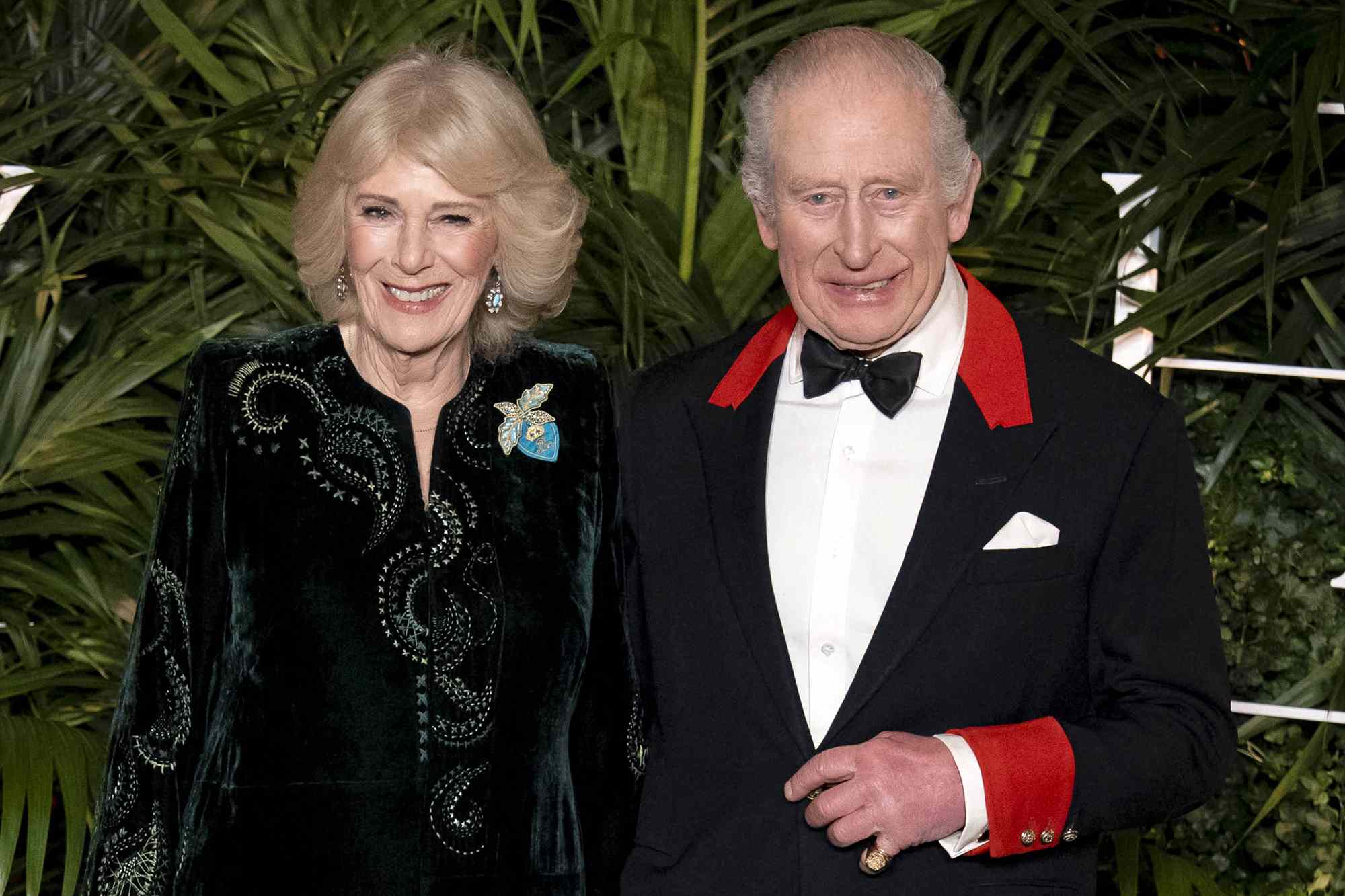King Charles hosts Windsor Castle's first-ever premiere for his Amazon Prime documentary — People.com