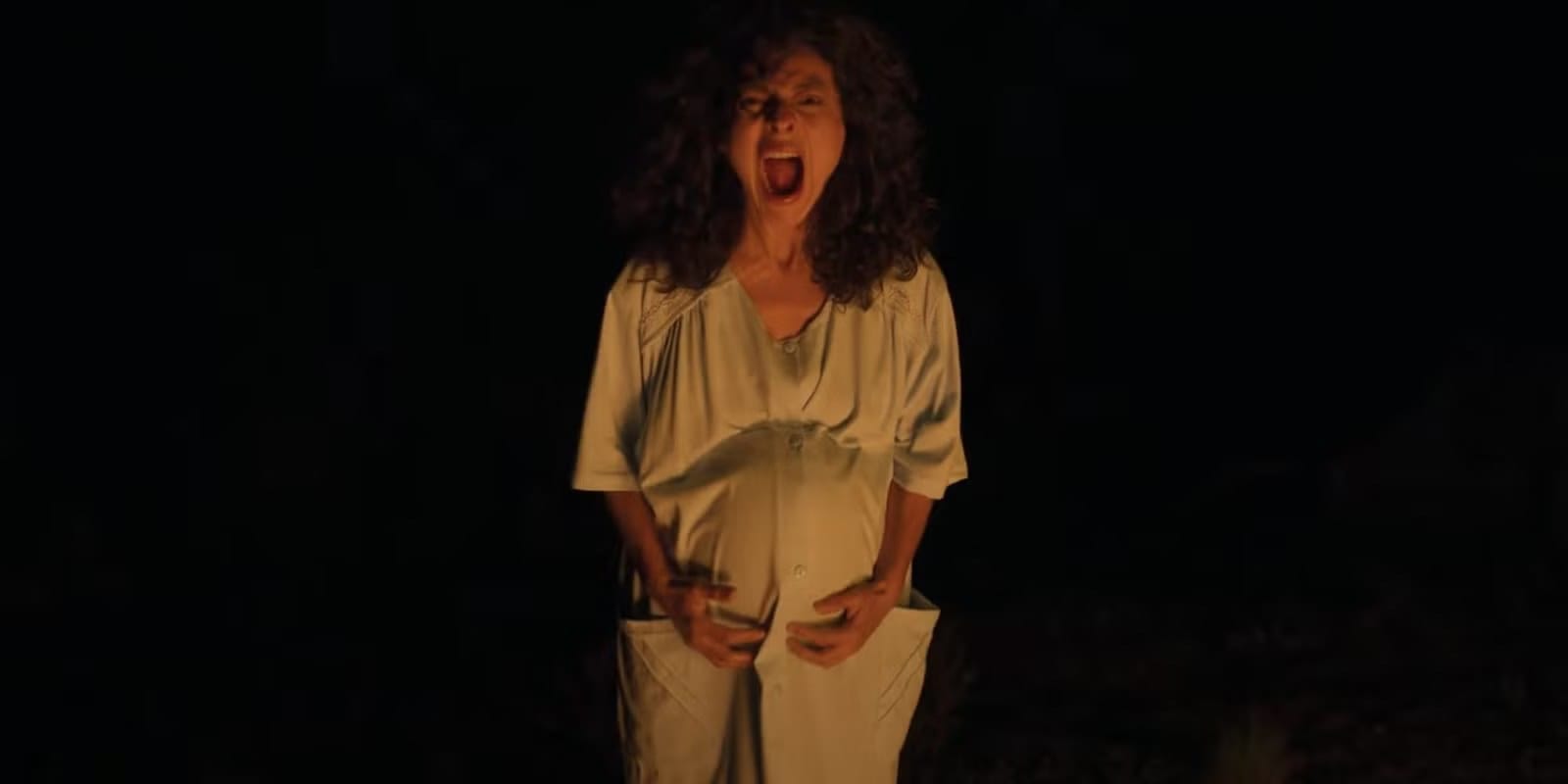 Disappear Completely: An overlooked Netflix horror worth seeking out — Static0.colliderimages.com