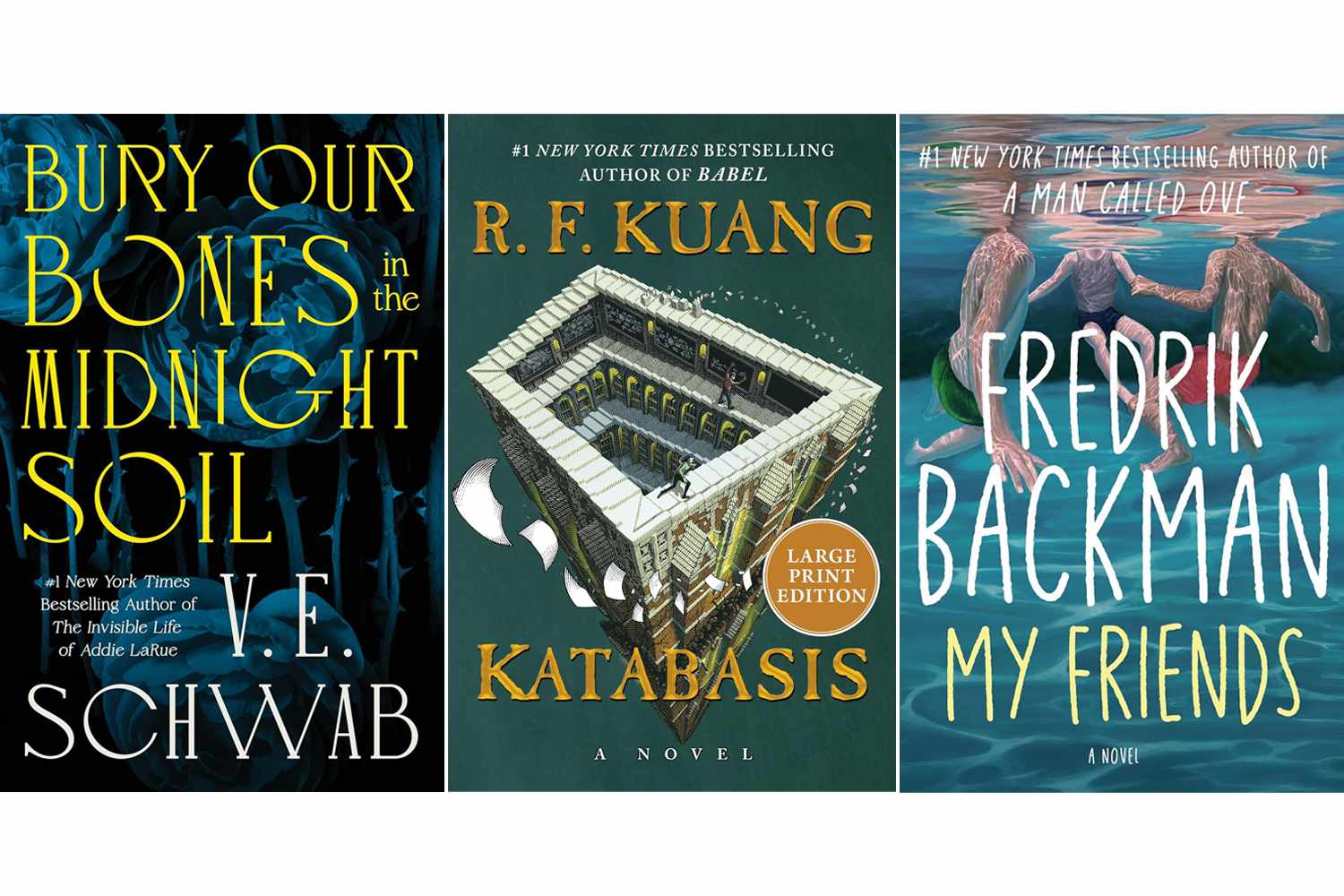 V.E. Schwab, R.F. Kuang Among 2026 Libby Book Awards Finalists — People.com