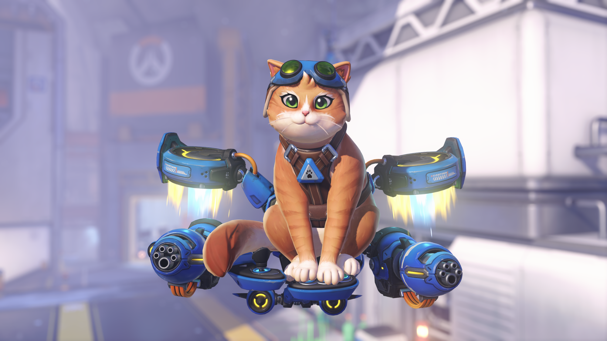 Overwatch players: 'I don't want to shoot at a normal ass cat' — Pcgamer