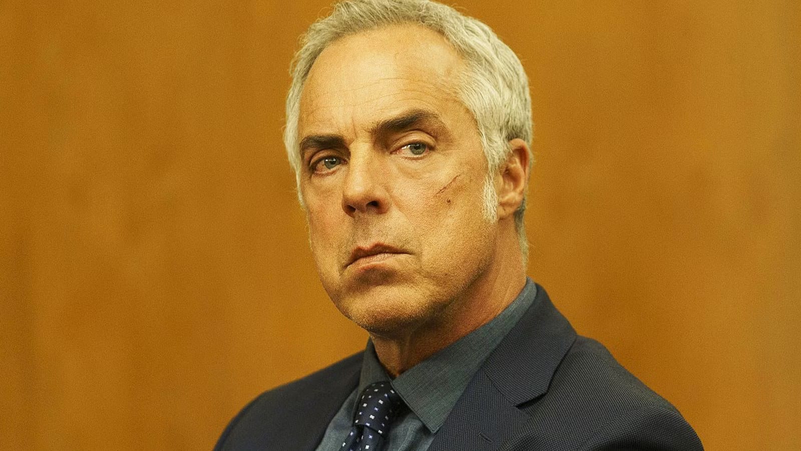 Netflix’s Most Reliable ‘Bosch’ Successor Is Quietly Dominating Watchlists — Collider
