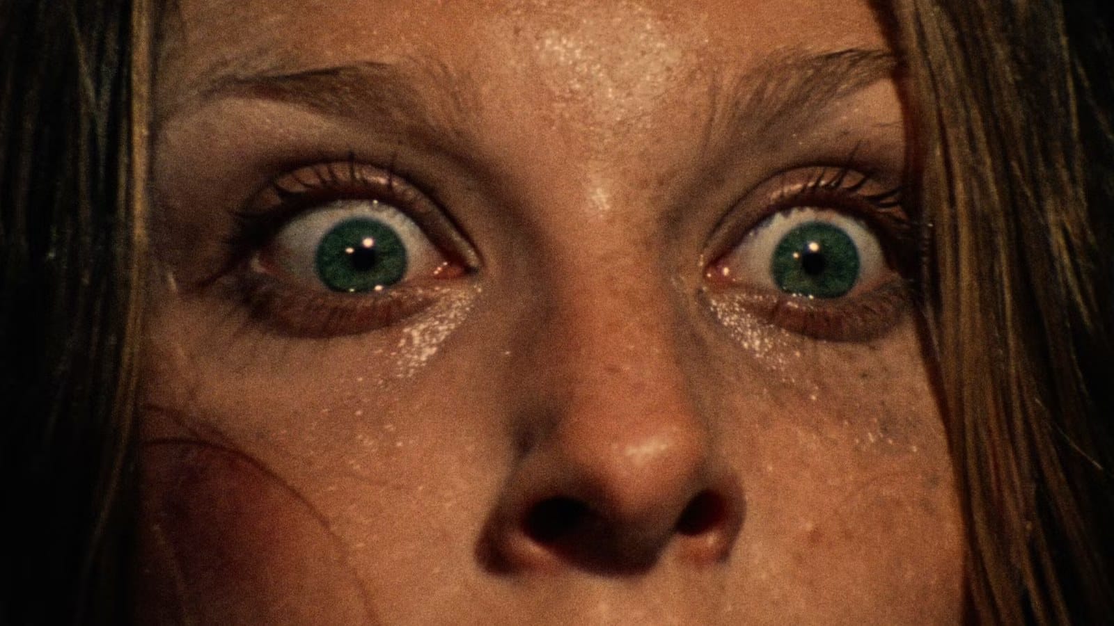 The Texas Chain Saw Massacre: a harrowing landmark now on Netflix — Collider