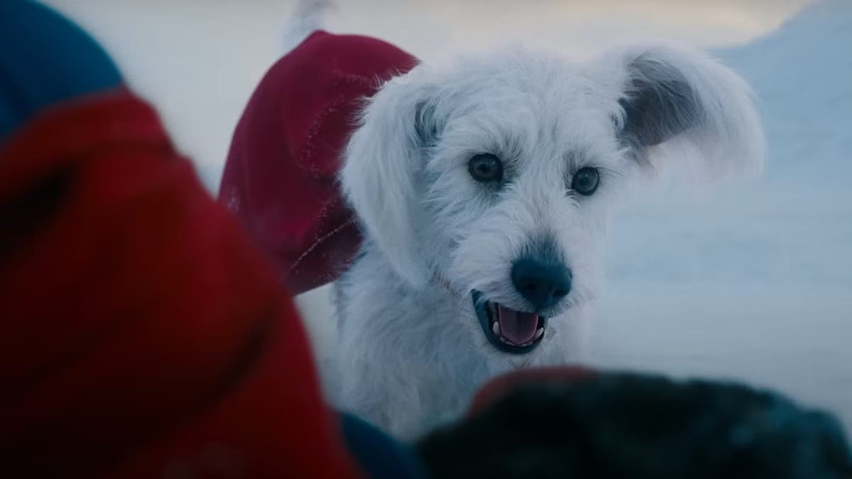Supergirl Super Bowl teaser shows baby Krypto — Movieweb