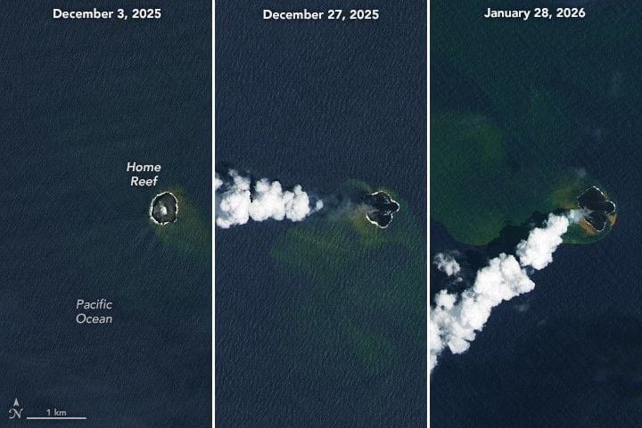 Home Reef Adds On — NASA Science