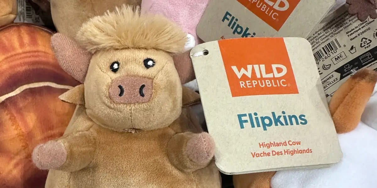 The next toy trend is the highland cow — Businessinsider