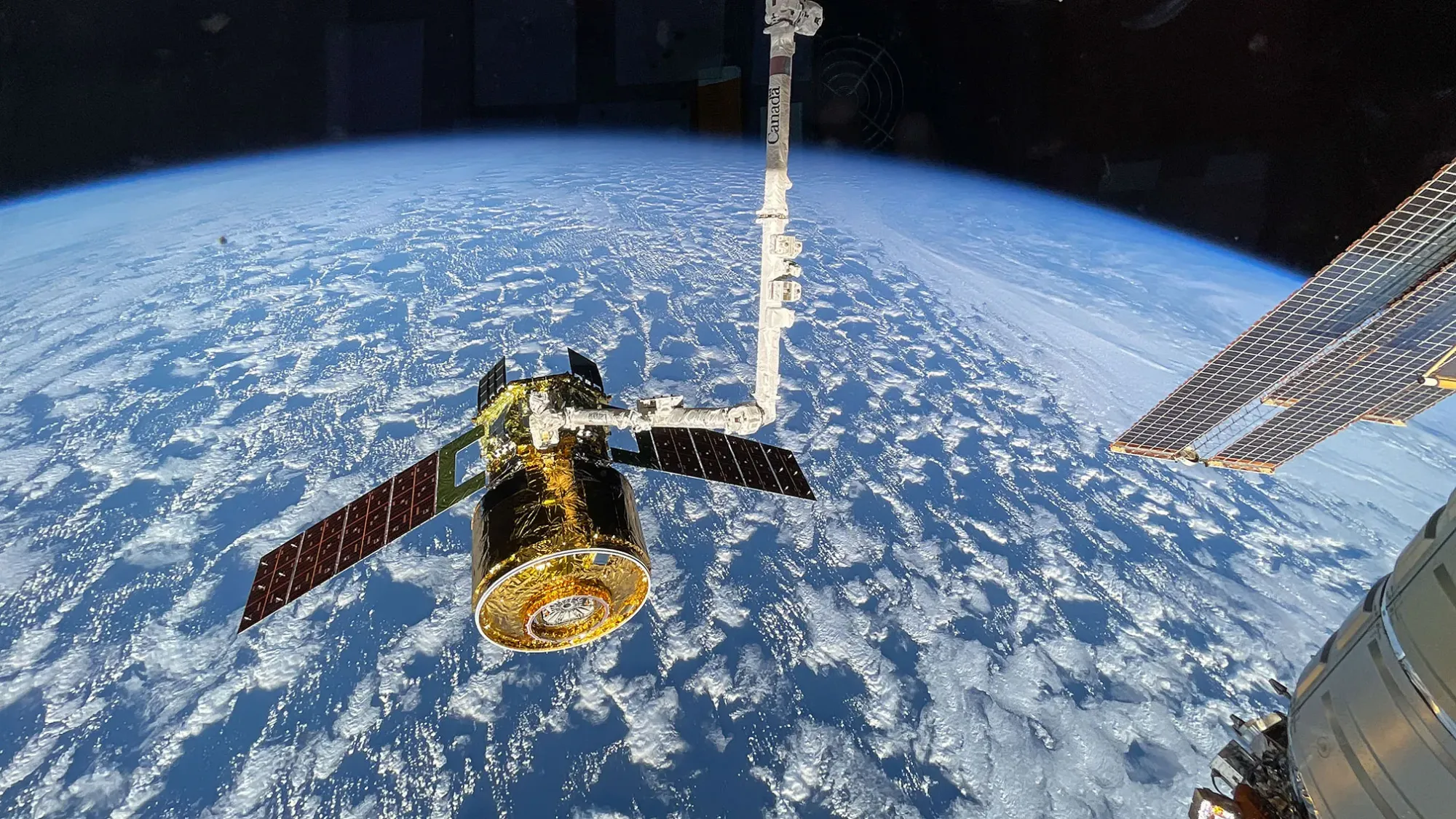 Canadarm2 Grips Cargo Spacecraft, Spacewalk Prep and Biology Continue — NASA Science