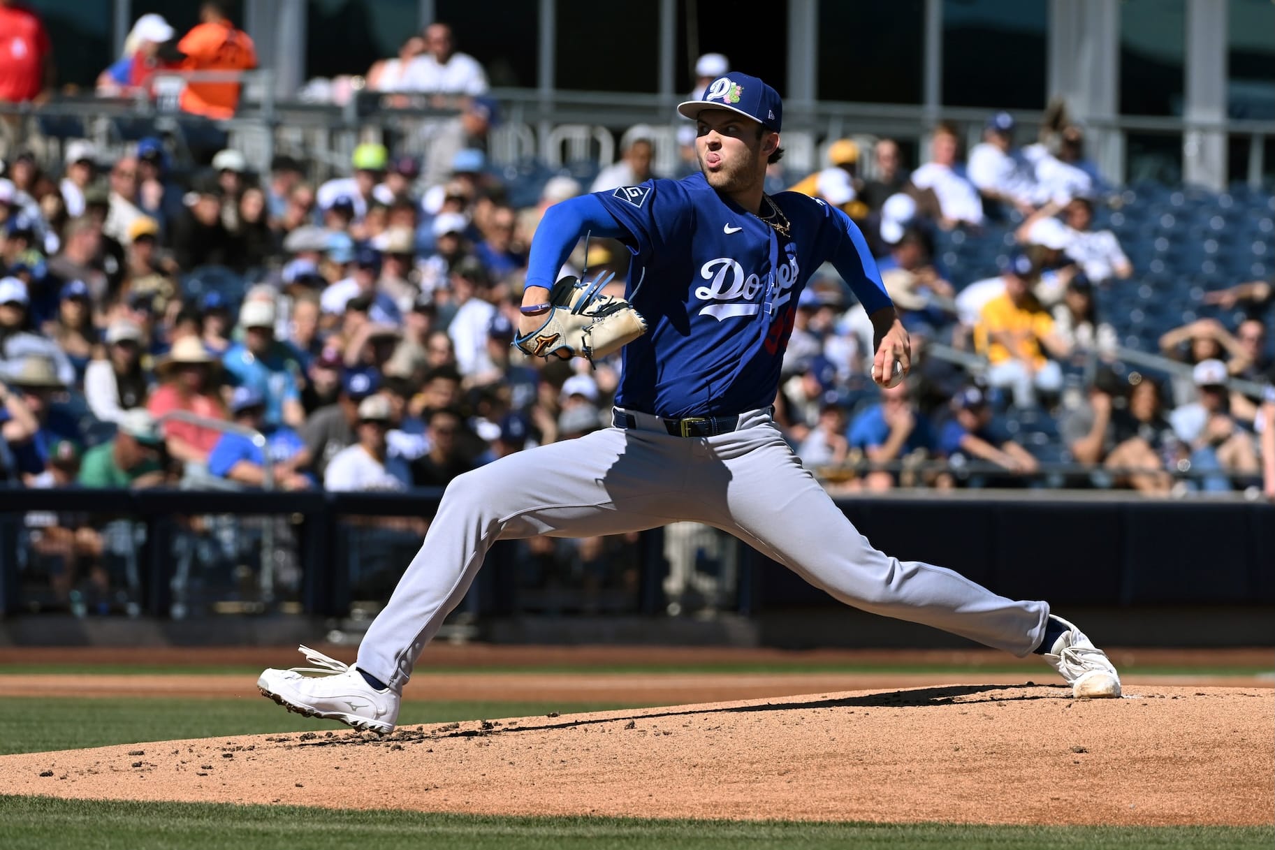 Which MLB Teams Are in the National League? — Nbc