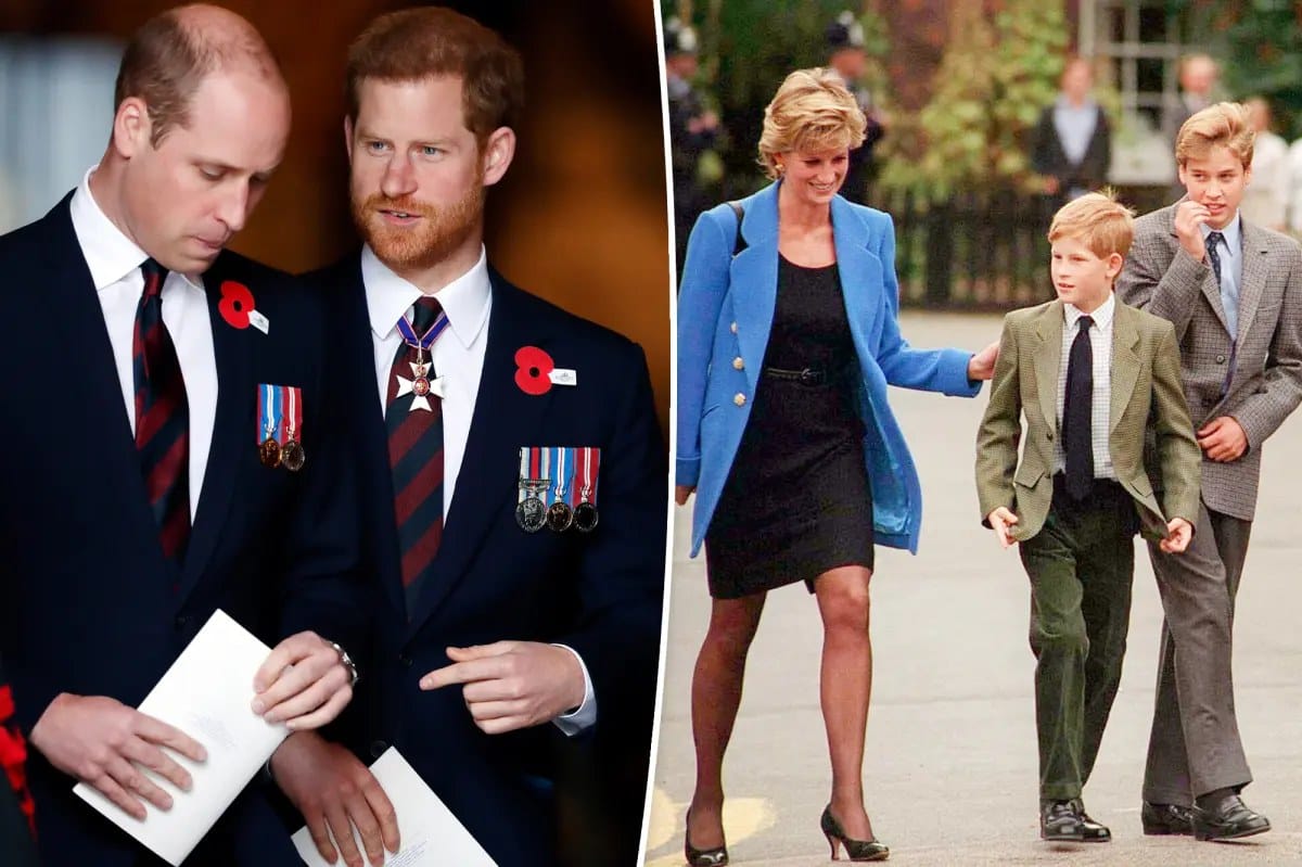 Diana 'prepared' Harry to be king over 'shy' William, royal expert — Pagesix