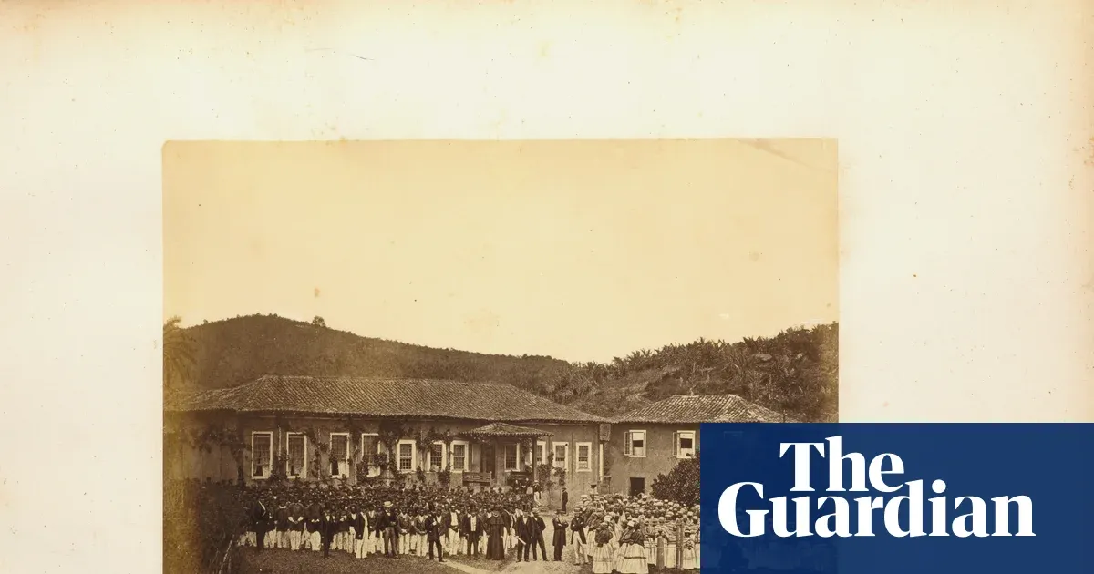 British companies profited from Brazilian slavery long after abolition — World news | The Guardian