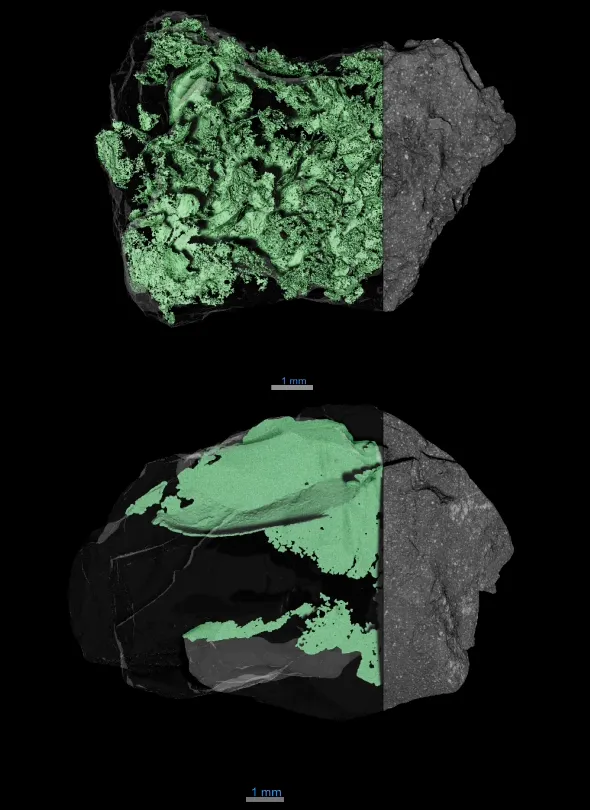 Solving Asteroid Bennu's Mysteries — NASA Science