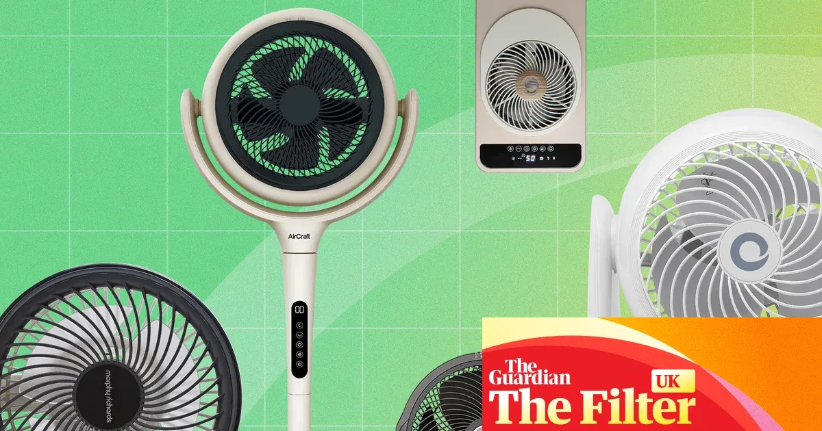 Best fans to keep you cool in 2026 – tried and tested — Lifestyle | The Guardian