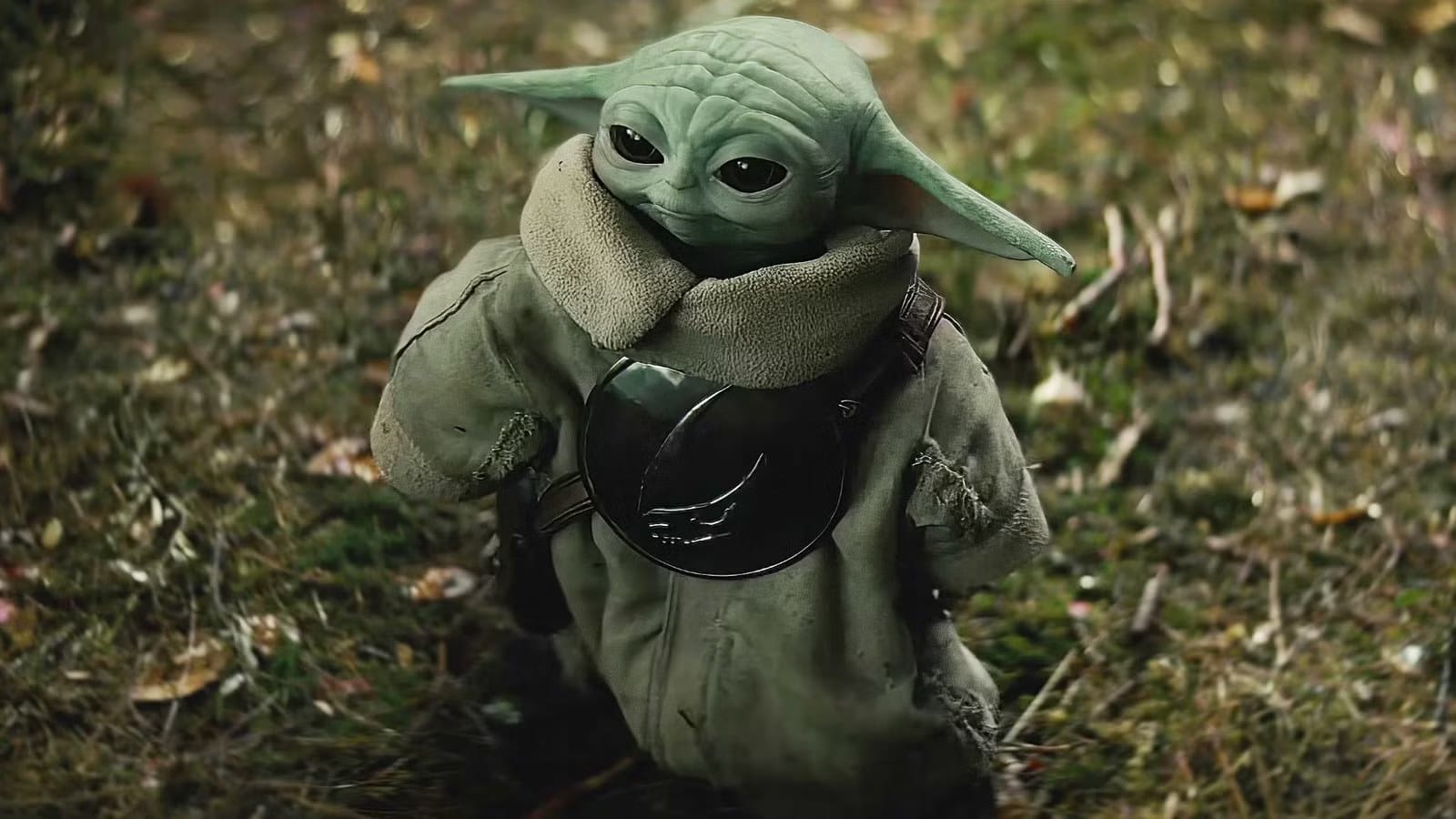 Star Wars Quiz: Which Force User Are You? — Collider