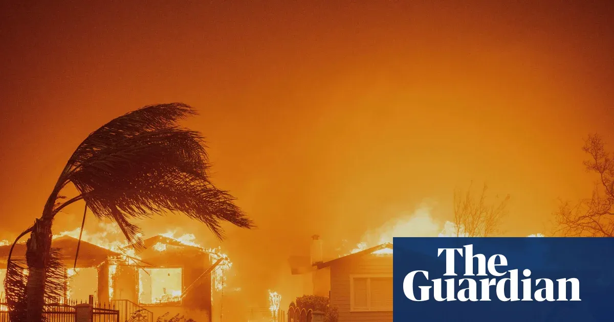 Wildfires devastating richer areas but fewer hectares burned globally - study — World news | The Guardian