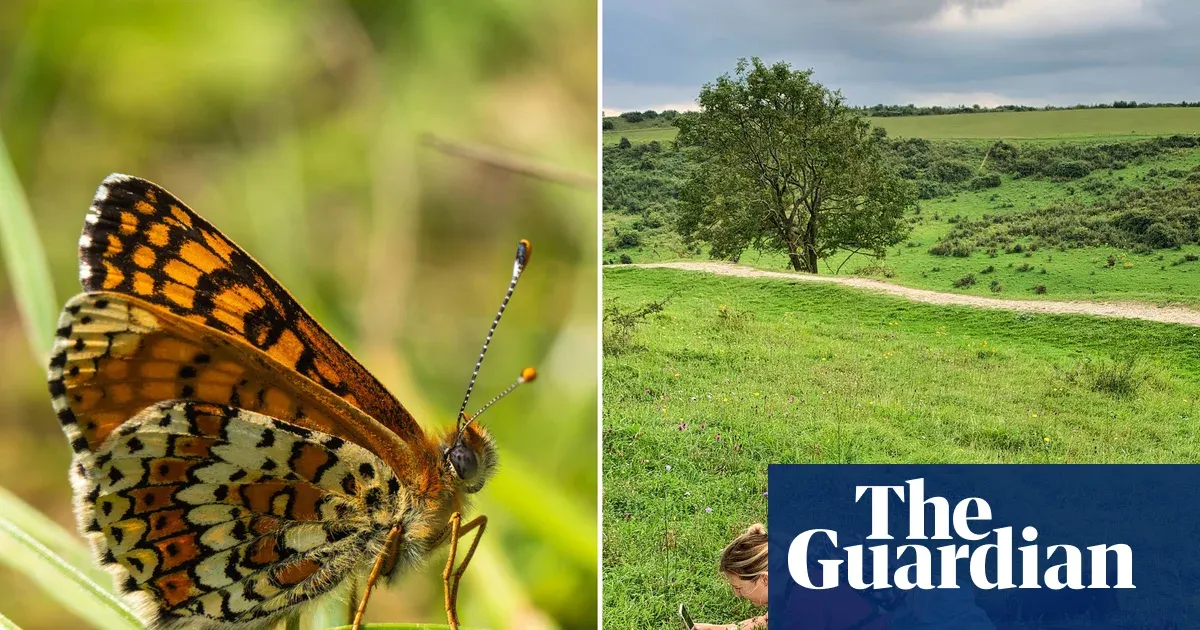Gaslit and shamed: play about Eleanor Glanville and her butterflies — Culture | The Guardian