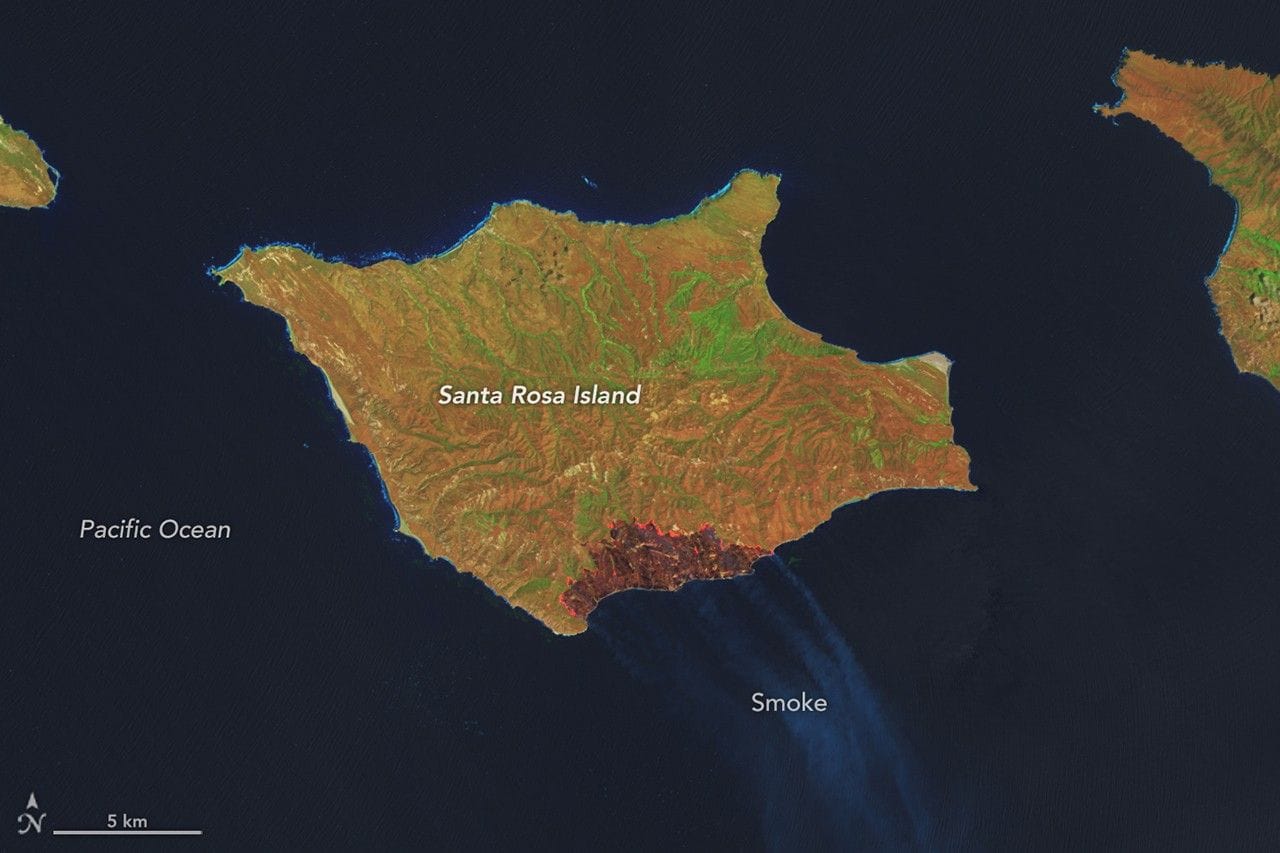 Fire charred one-third of Santa Rosa Island — NASA Science