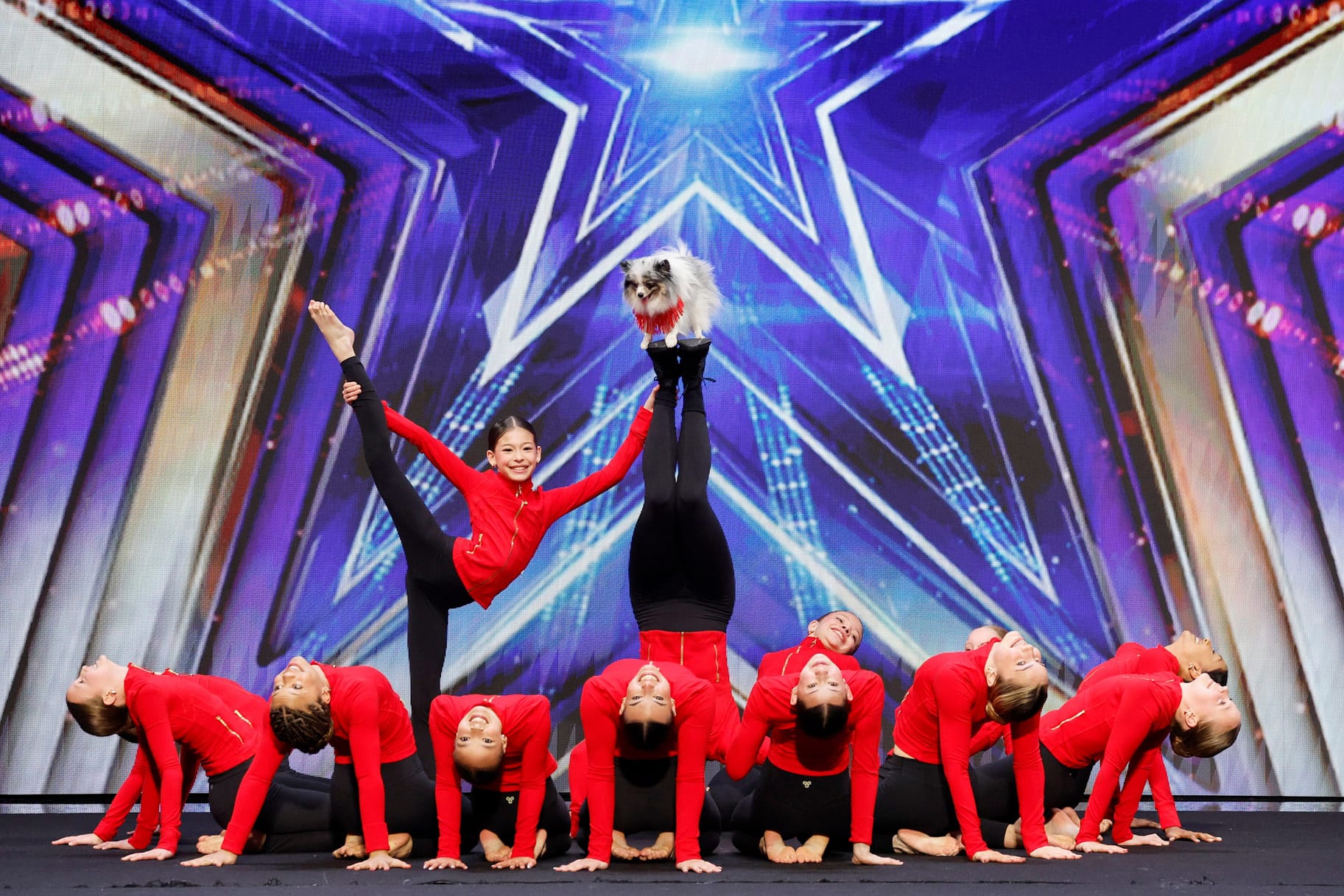 Acro Canine Crew wins AGT golden buzzer with dancing dogs — Nbc