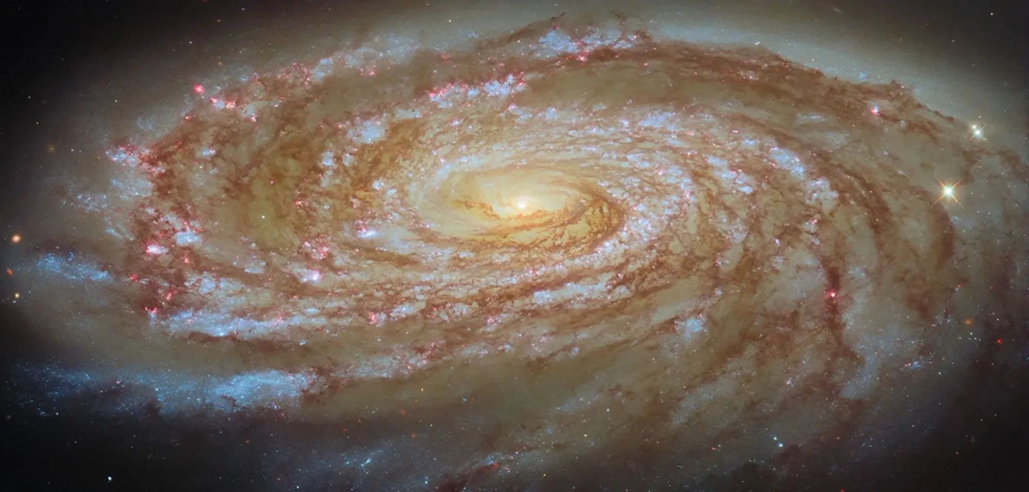 Journey to the Center of the Virgo Cluster — NASA Science