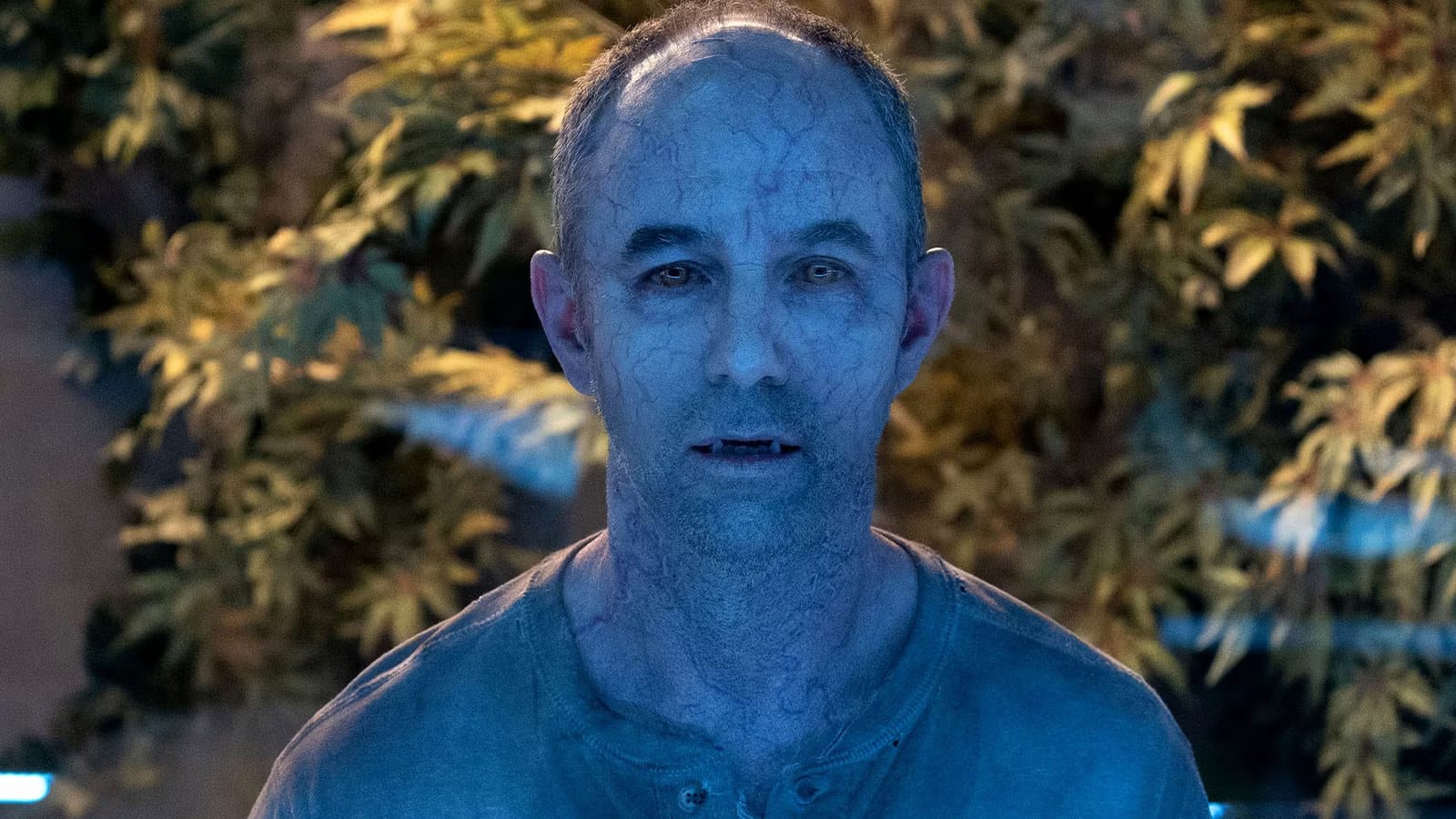 This 8-Part Apocalyptic Sci-Fi Thriller Is the Perfect ‘The Last of Us’ Replacement — Collider