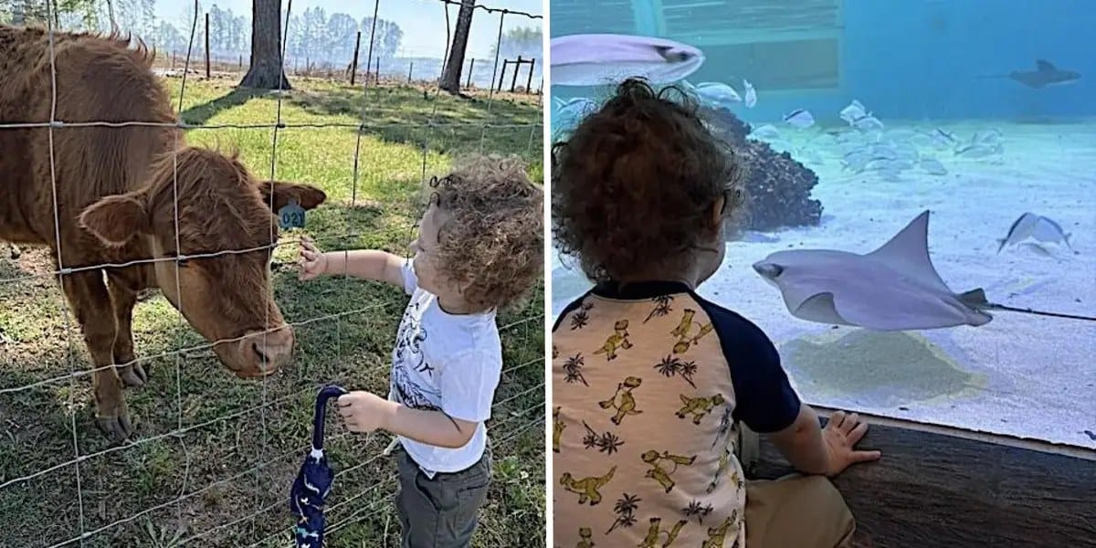 A weekly 'fun-day' helped when my toddler's tantrums began — Businessinsider