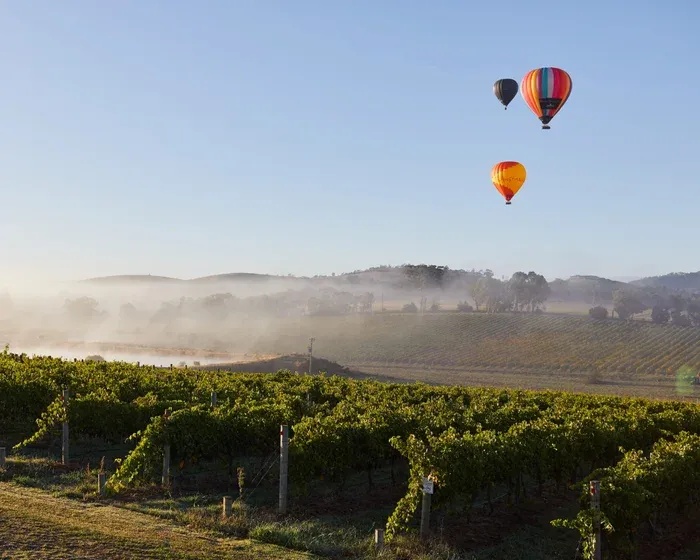 From vine to brine: a southern Australia food itinerary — Lifestyle | The Guardian
