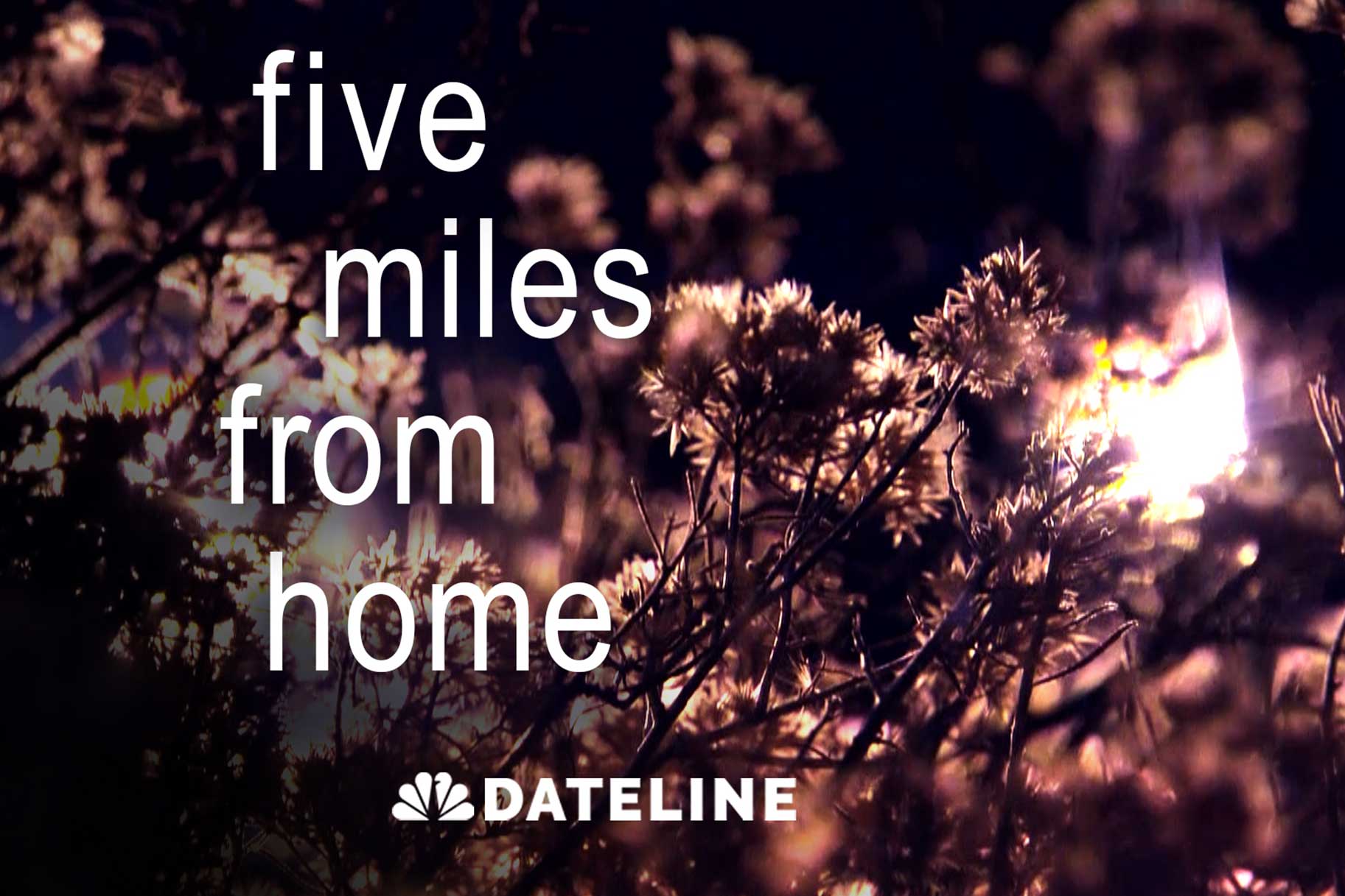 Five Miles from Home examines the disappearance of Micaela Costanzo — Nbc
