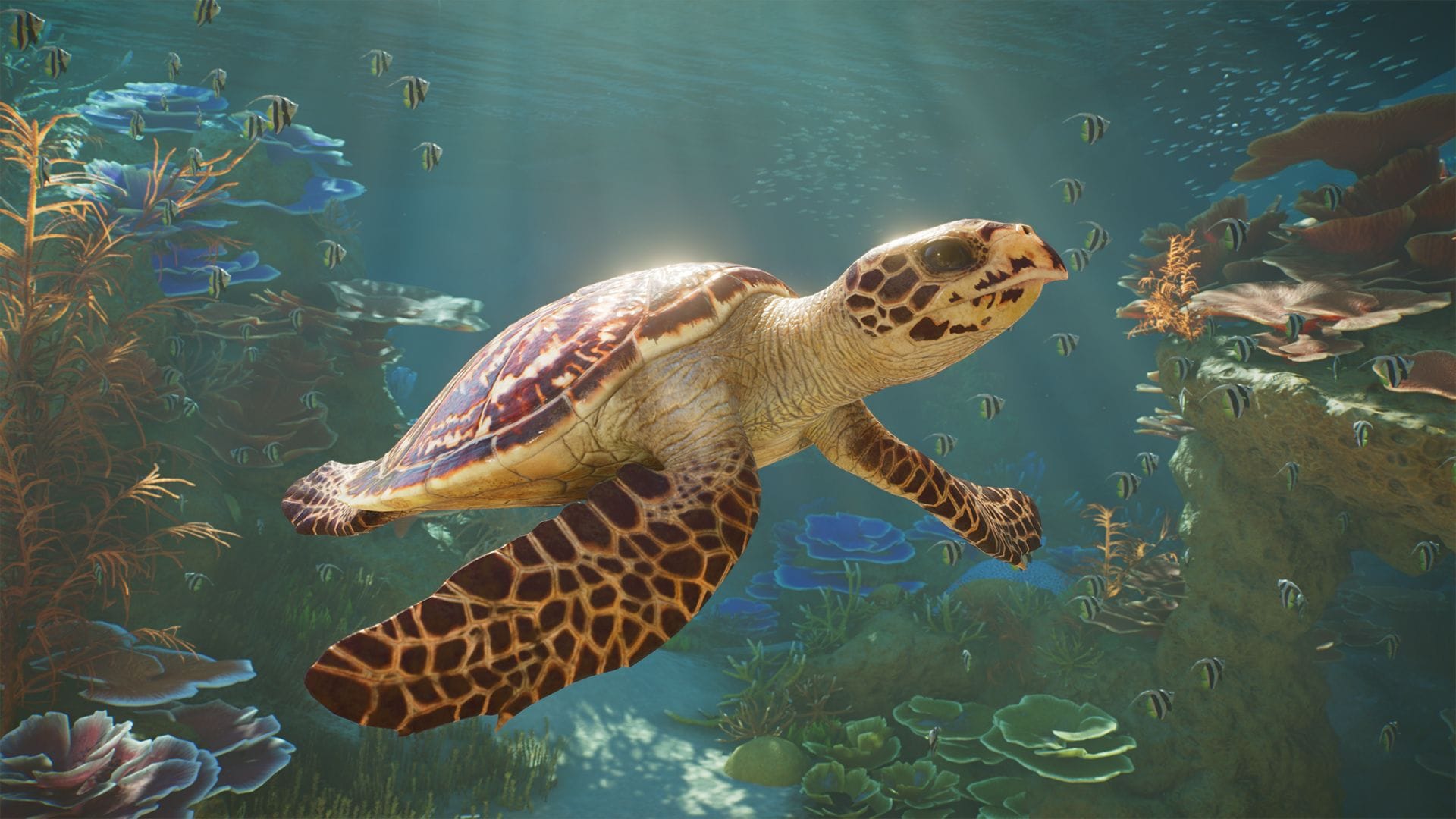 Planet Zoo 2 shows how to manage new aquariums and aviaries — Pcgamer
