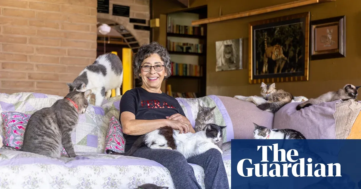 Why the 'crazy cat lady' stereotype endures — Lifestyle | The Guardian