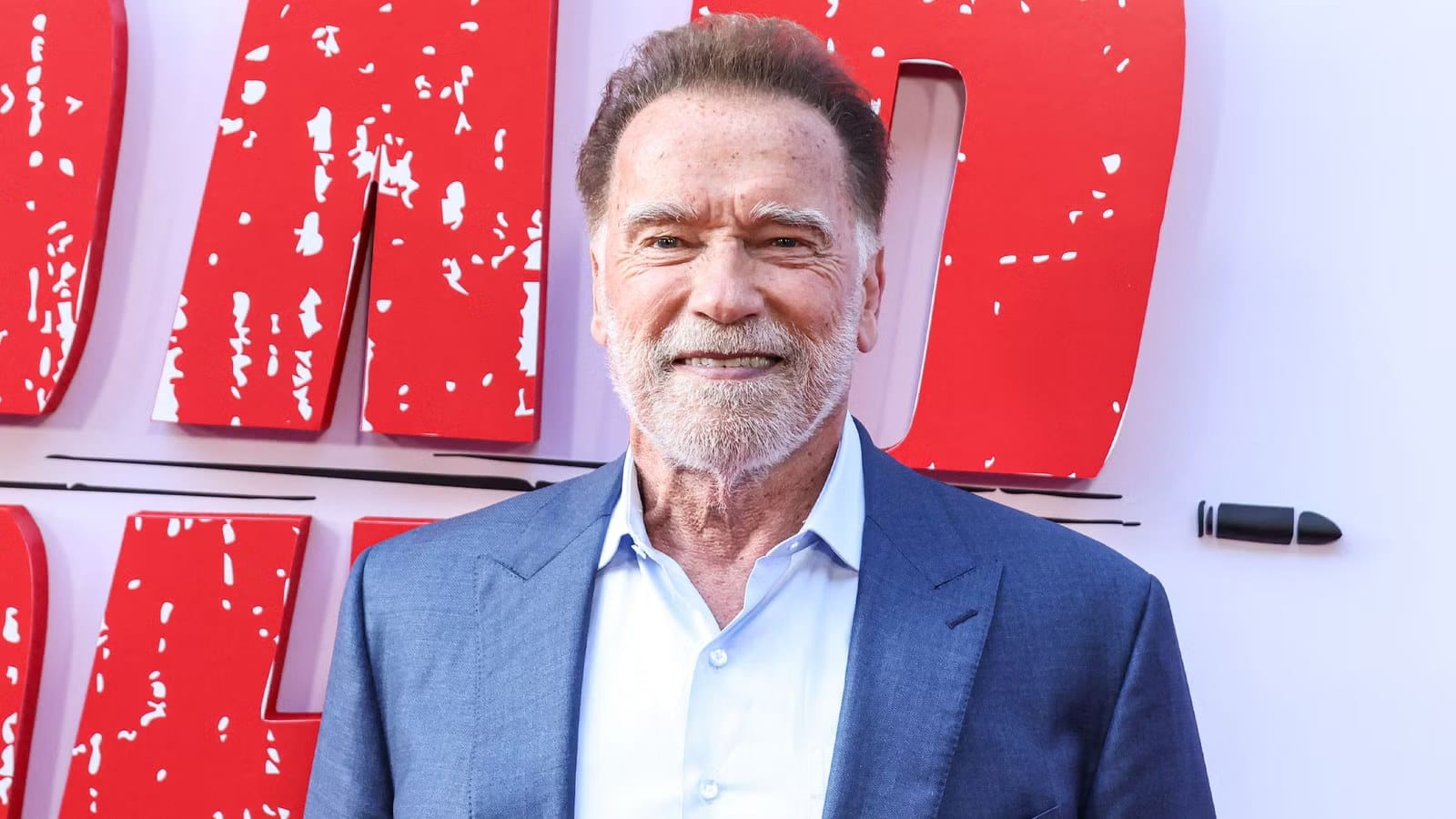 Arnold Schwarzenegger Returning as Conan in King Conan — Collider