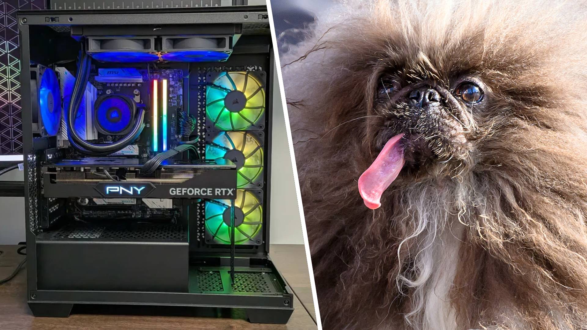 PC takes bullet after neighbour's dog allegedly discharges gun — Pcgamer