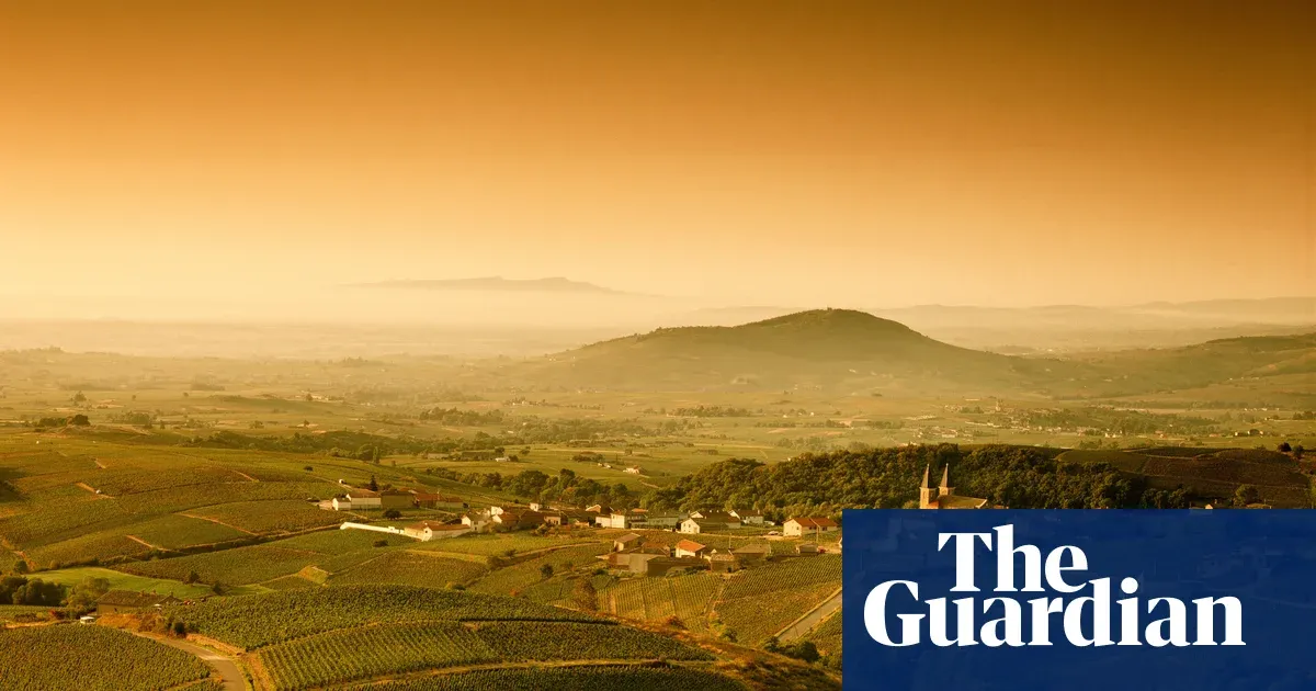 Is there such a thing as affordable white Burgundy? — Lifestyle | The Guardian