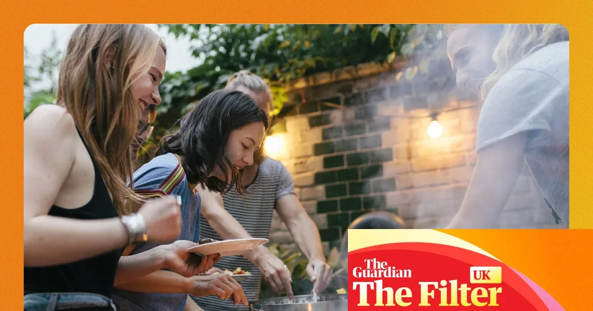 What to bring to a barbecue — Lifestyle | The Guardian
