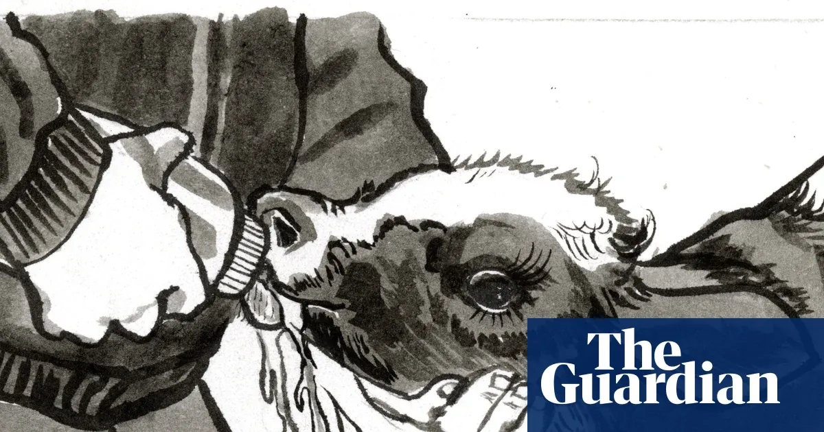 Joey, the calf who helped me through grief — Lifestyle | The Guardian