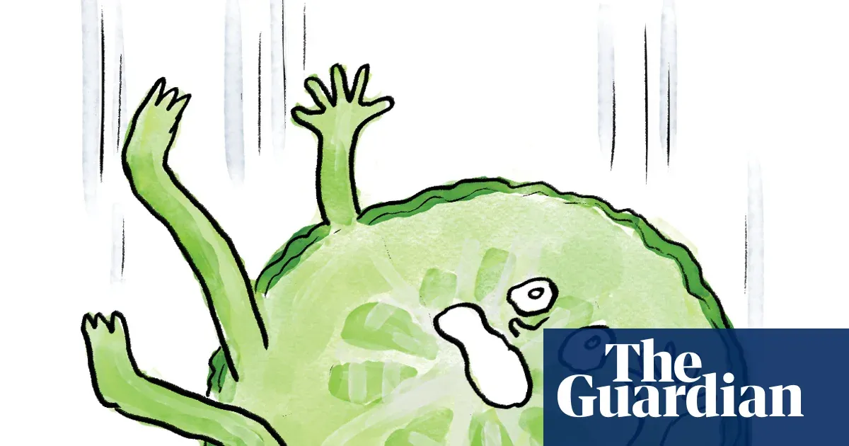 Is it true that … you have five seconds’ grace after dropping food on the floor? — Lifestyle | The Guardian