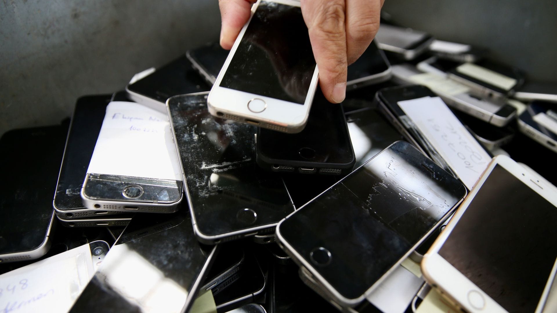 Uni researchers plan 2,000‑phone low‑carbon data center from Pixel smartphones — Pcgamer