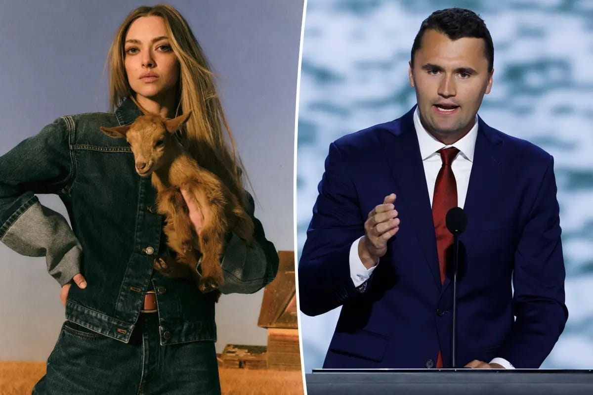 Amanda Seyfried says backlash forced her to hire a bodyguard — Pagesix