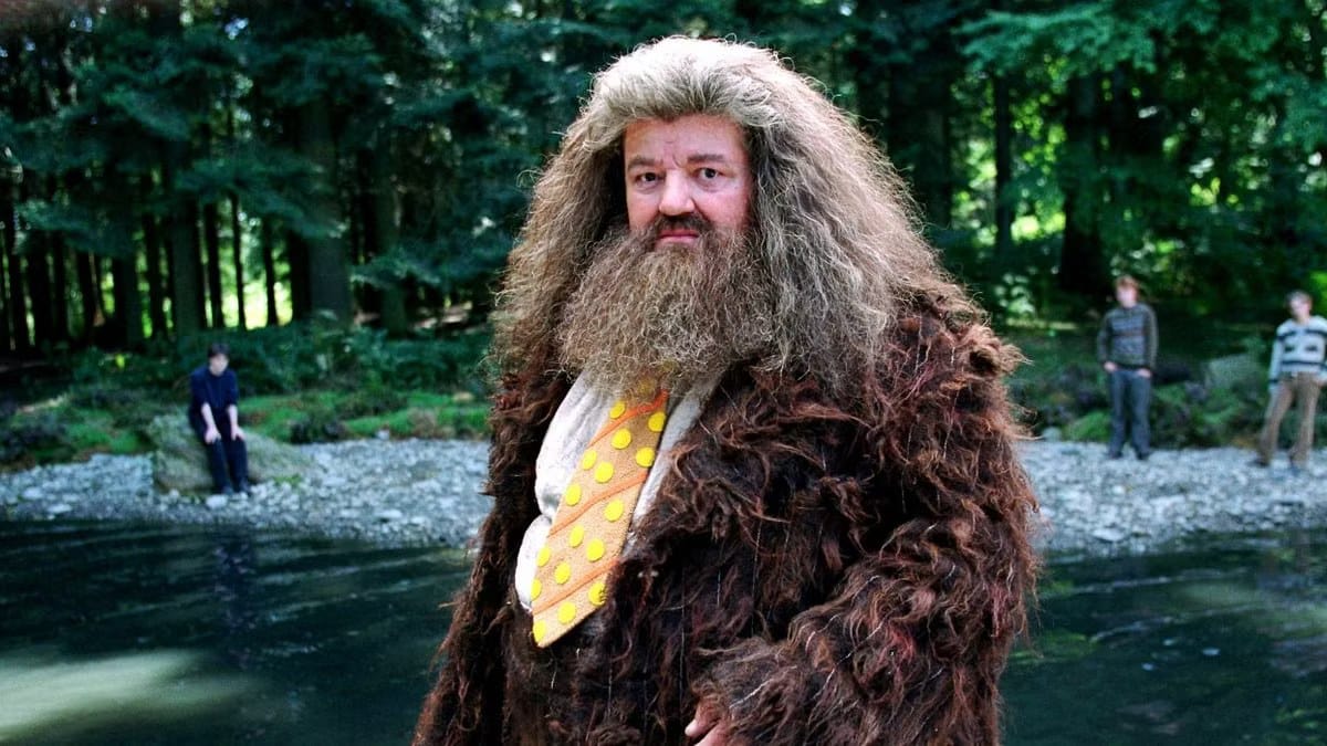 Steven Spielberg Helped Cast McGonagall, Dumbledore and Hagrid — Collider