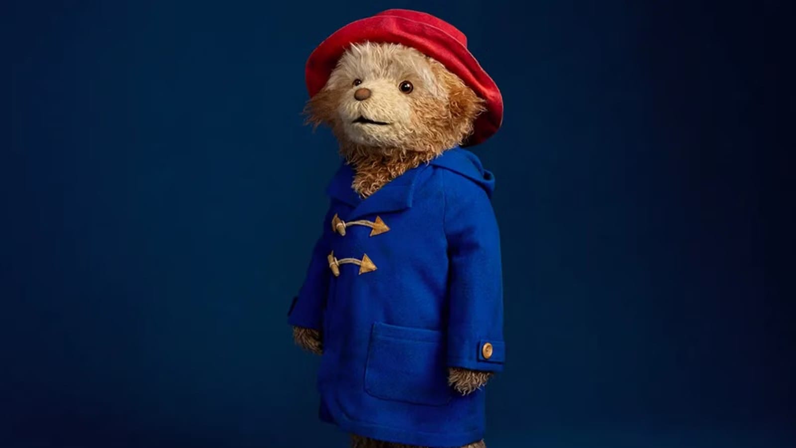 Paddington: The Musical heads to Broadway in 2027 — Polygon