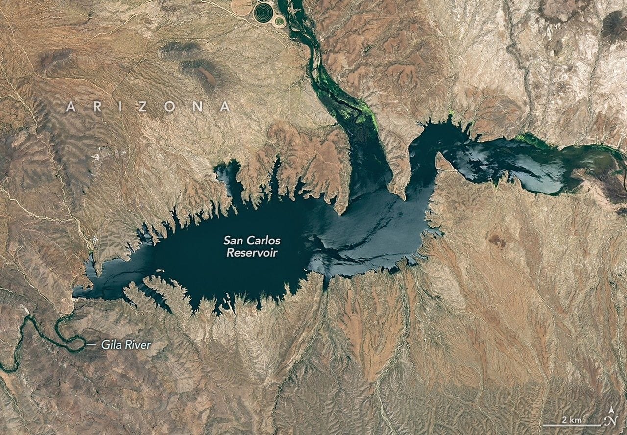 San Carlos Reservoir Nearly Drained, Widespread Fish Kill Prompts Closure — NASA Science