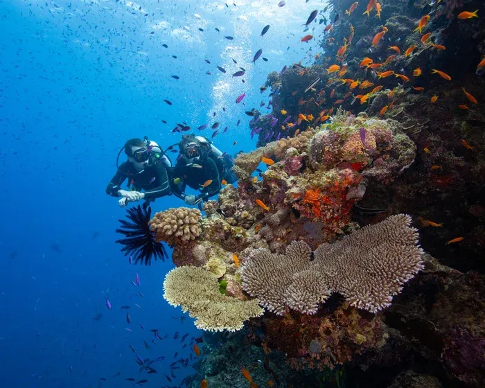 Be an ambassador for the ocean: how tourists can help the Great Barrier Reef — Lifestyle | The Guardian