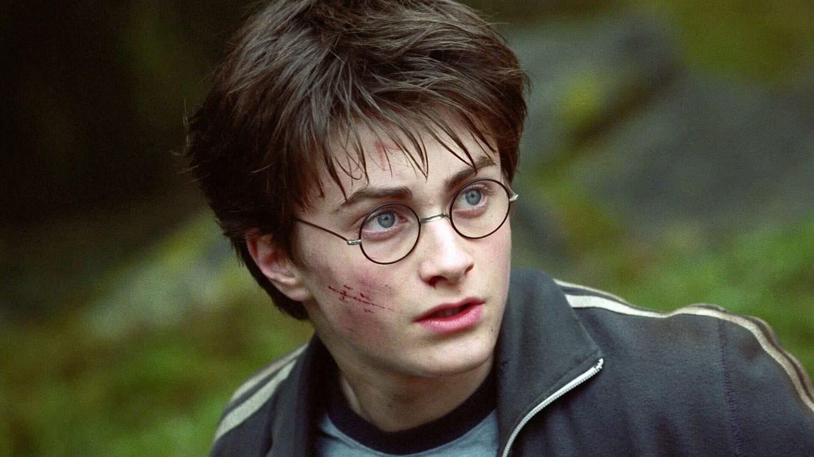 Harry Potter Houses: What Makes Each Hogwarts House Distinct — Movieweb