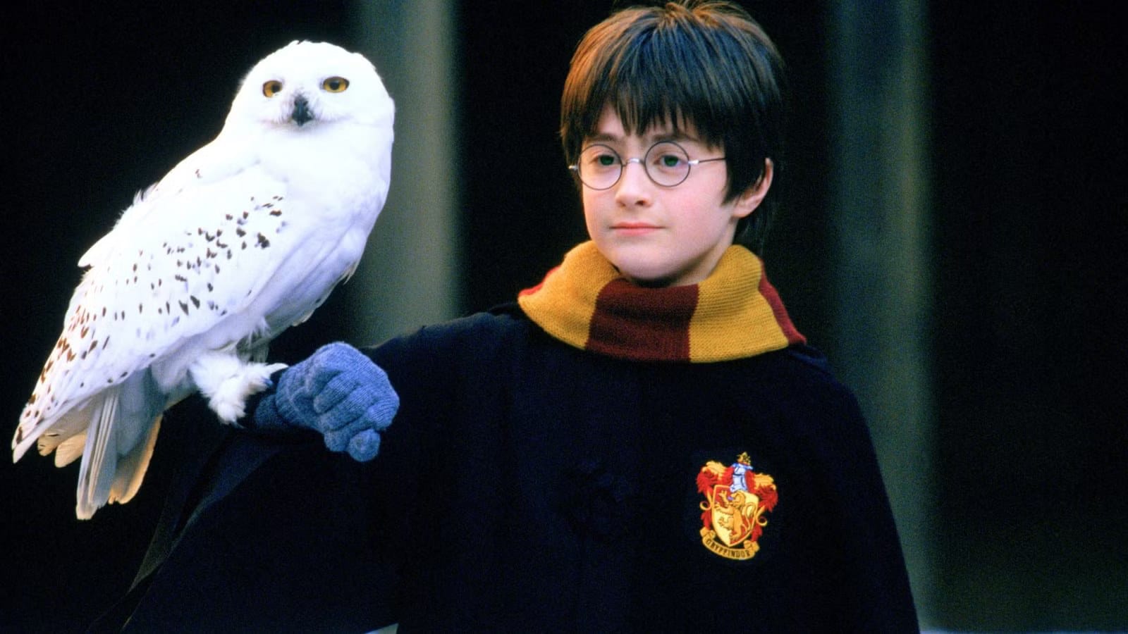HBO's Harry Potter restores Peeves with Peter Serafinowicz casting — Movieweb