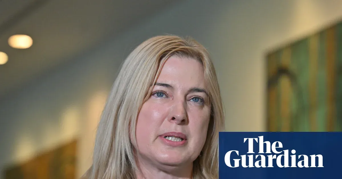 Mainland Australia investigates suspected H5N1 after seabird tests positive — World news | The Guardian